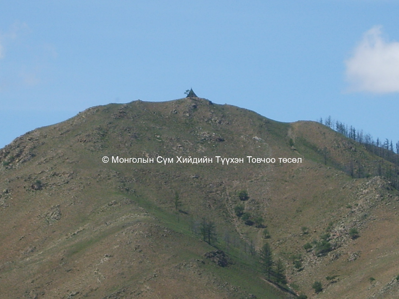 Сувраганы туурь 
